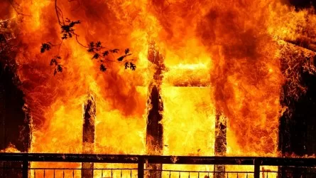 180 человек эвакуировали ночью из-за крупного пожара на юге Казахстана 