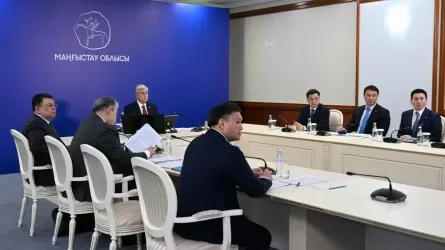 Президент Үкіметтің өрескел олқылығын айтты
