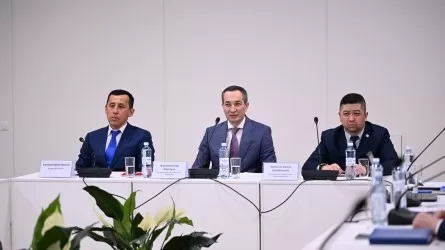 Ержан Біржанов Триатлон федерациясының президенті атанды