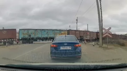 Семейде жүк пойызы теміржолдан өтпек болған әйелді басып кетті