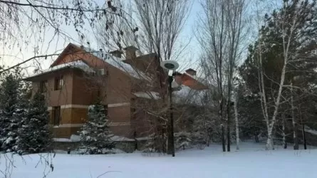 Почему элитный коттедж Карима Масимова сняли с торгов 