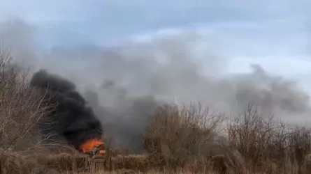 Из-за чего в Павлодаре загорелись дачи