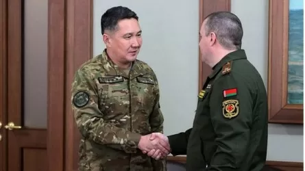 Современные методы инженерной разведки и разминирования обсудили Казахстан и Беларусь