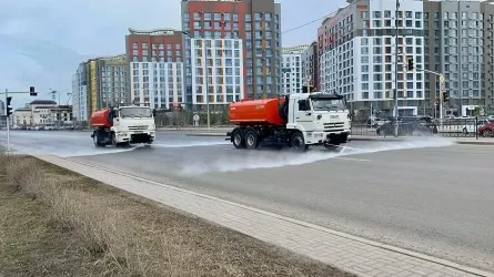 В Астане проводится генеральная уборка 