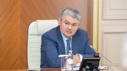 Вице-премьер баланы TikTok-тан шектеудің жолын көрсетіп берді