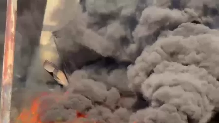 МЧС показало фото и видео масштабного пожара в Алматы  