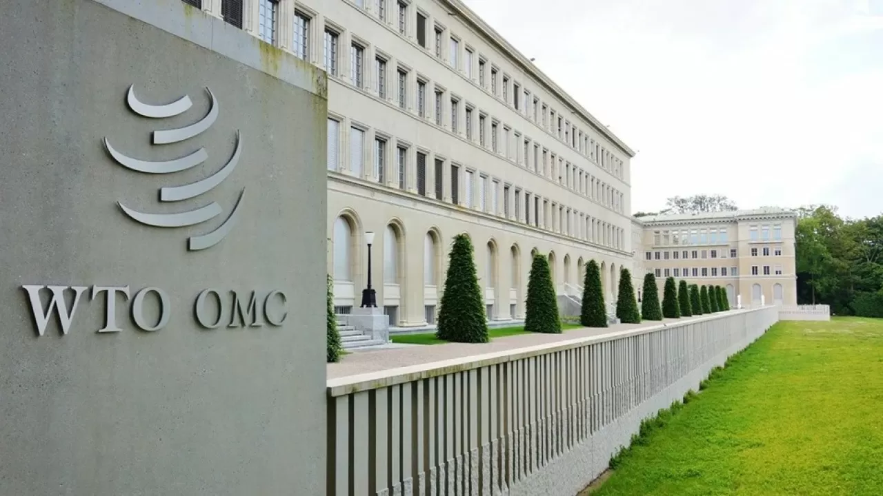 В ВТО прогнозируют снижение мировой торговли из-за пошлин Трампа