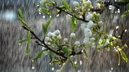 Еліміздің барлық өңірінде 27 мамырда дауылды ескерту жарияланды