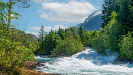 В Казахстане разрабатывается дорожная карта по сохранению водных ресурсов и биоразнообразия 