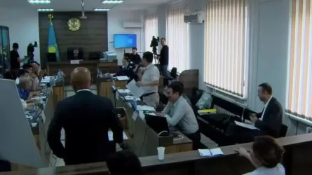 Шерзатты қандай жағдайда аман алып қалуға болатыны айтылды