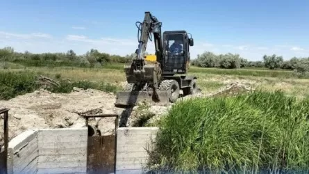 Сразу в семи регионах Казахстана стартовала очистка ирригационных каналов 