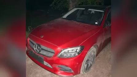 Жетісу облысында 13 автокөлікті ұрлаған алаяқтар қолға түсті 