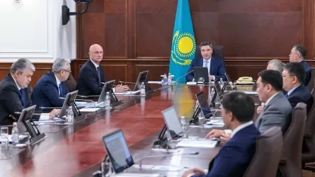 Премьер-министр: 2024 жылы еліміз 2 млрд долларға химия өнімдерін экспорттады