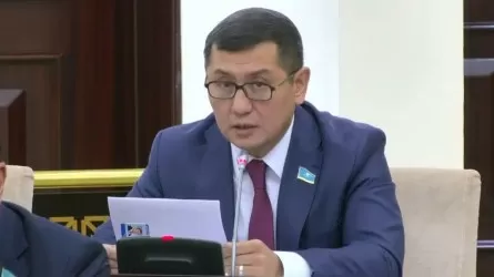 Депутат бюджет қаражатын үнемдеуге шақырды