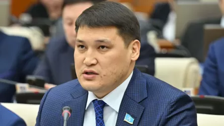 Берденовке жасалған шабуыл: Шымкент әкімдігі пікір білдірді