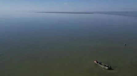 Каспий теңізінің солтүстігінде жаңа арал пайда болды 