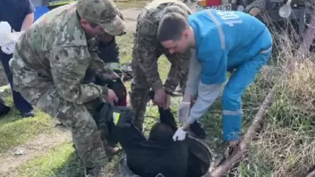 Қостанайда кәріз құдығын тексермек болған қызметкерлер уланып қалды