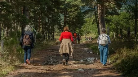 В Казахстане действует семь видов господдержки для туристического бизнеса 