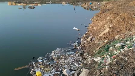 Под напором молодежи чиновники обратили внимание на свалку в Астане