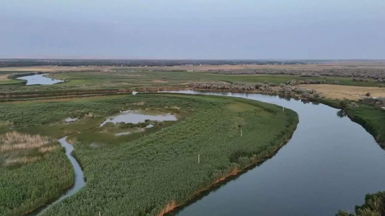 По реке Шу для аграриев пришло рекордное количество воды в Туркестанской области 