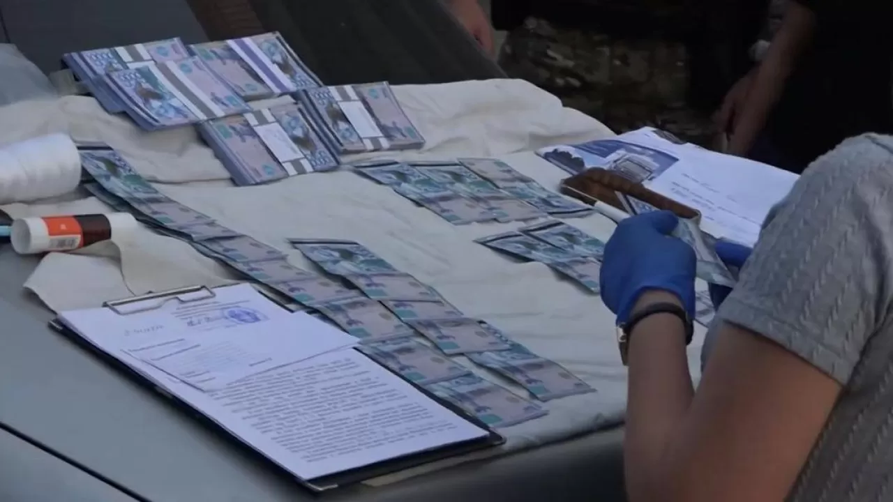 Алматыда жаңа туған нәрестені шетелге сатумен айналысқан қылмыстық топ құрықталды