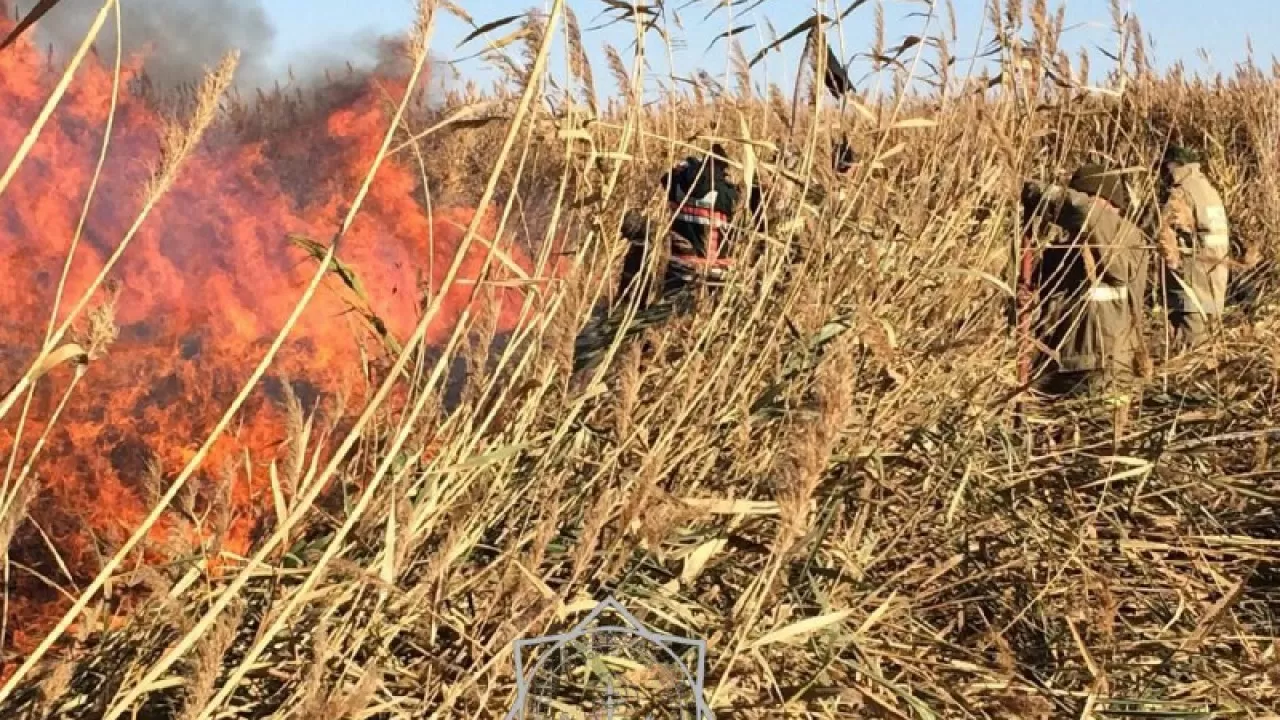 Атырау облысында қамыс өртін сөндіру жұмыстары жалғасуда 