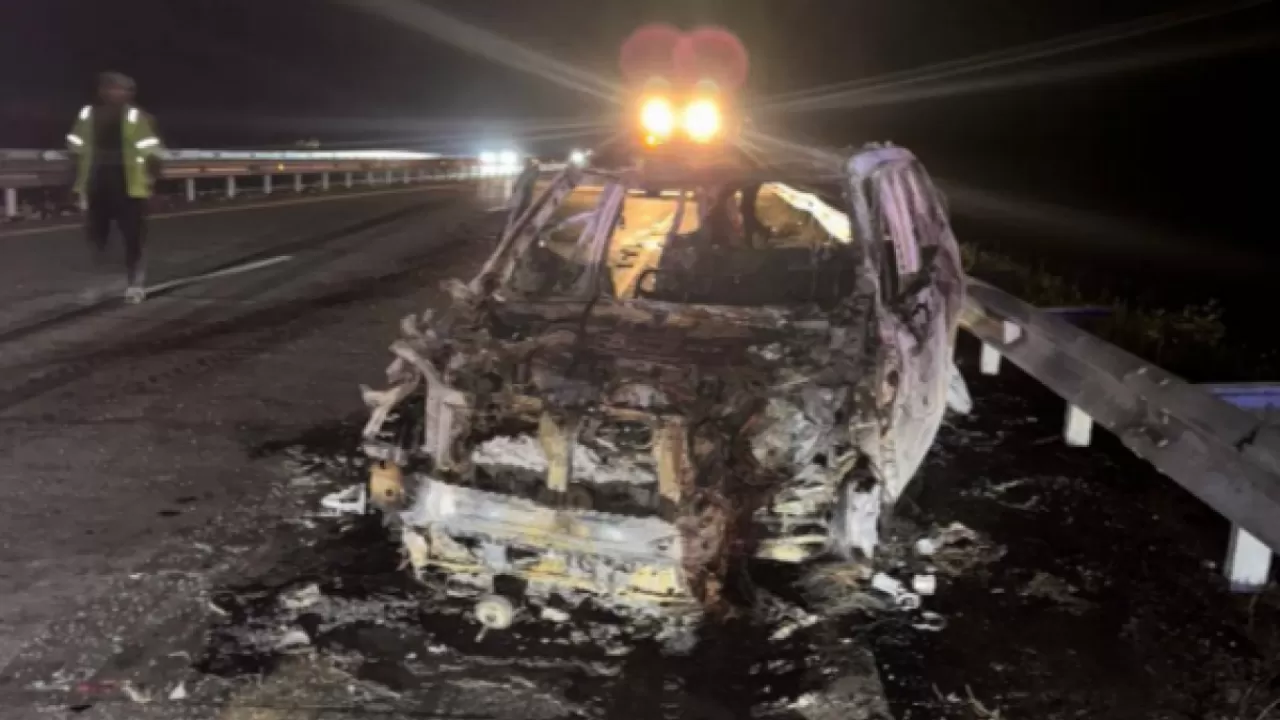 Два человека погибли в ДТП с участием лошади в Акмолинской области