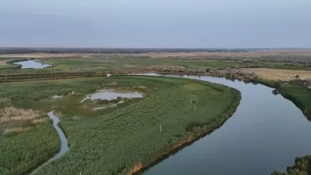 По реке Шу для аграриев пришло рекордное количество воды в Туркестанской области 