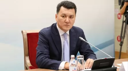 Ерлан Қарин: Елімізде отбасылық-тұрмыстық зорлық-зомбылық фактілері едәуір азайды