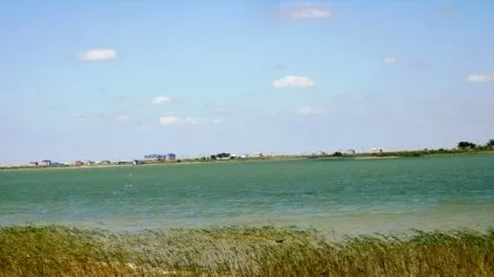 Атырау облысындағы Қамыскөл көліне шомылуға тыйым салынды