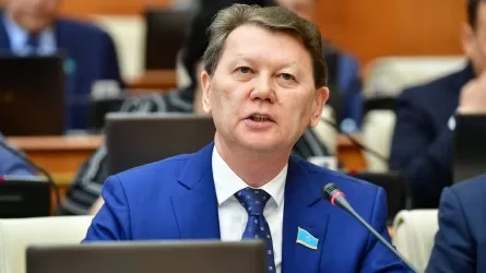 Депутат адамдар онлайн дүкенге неге сенбейтінін айтты