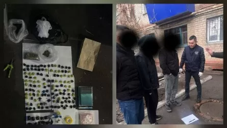 Интернетте есірткі таратқан: Батыс Қазақстанда қылмыстық топ ұсталды