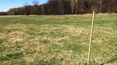 Крупный мегаполис Казахстана активизирует борьбу с самозахватами земель