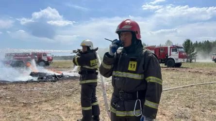 Сенат РК одобрил закон о гражданской защите 
