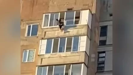 Карагандинца, пытавшегося выпрыгнуть с 9-го этажа, спасли полицейские