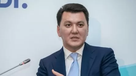 Год с законом о борьбе с бытовым насилием: Ерлан Карин – о результатах