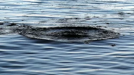 Подросток утонул в реке Тобол в Костанае
