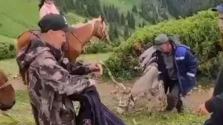 Алматы облысында жоғалған аңшы табылды