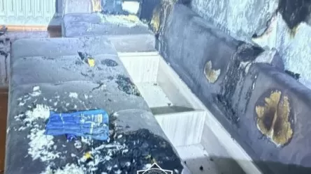 Солтүстік Қазақстанда тұрғын үйге найзағай түсіп, өрт шықты