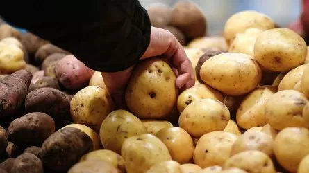 «Бір картоптың өзі 2,5 есеге қымбаттады»: Депутат азық-түлік бағасы шарықтап тұрғанын айтты