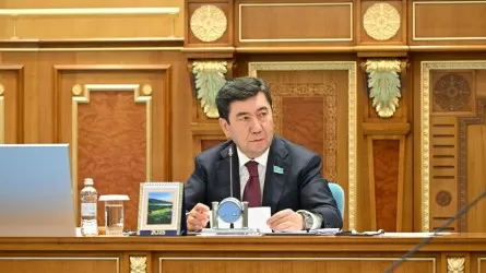 Мәжіліс спикері депутаттық сауалдарға берілетін жауаптардың мазмұны мен сапасын сынға алды