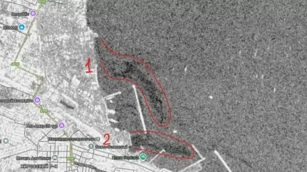 Каспий теңізінен апта сайын жаңа дақтар көрініп жатыр