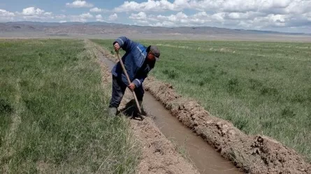 Водная инспекция бьет по "черному" рынку воды в Жамбылской области 