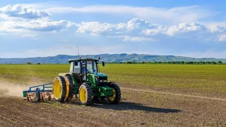 Сколько денег в Казахстане потратили на посевную в 2025 году