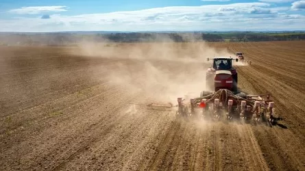 Есіл ауданында 477 мың гектарға егін егілген 
