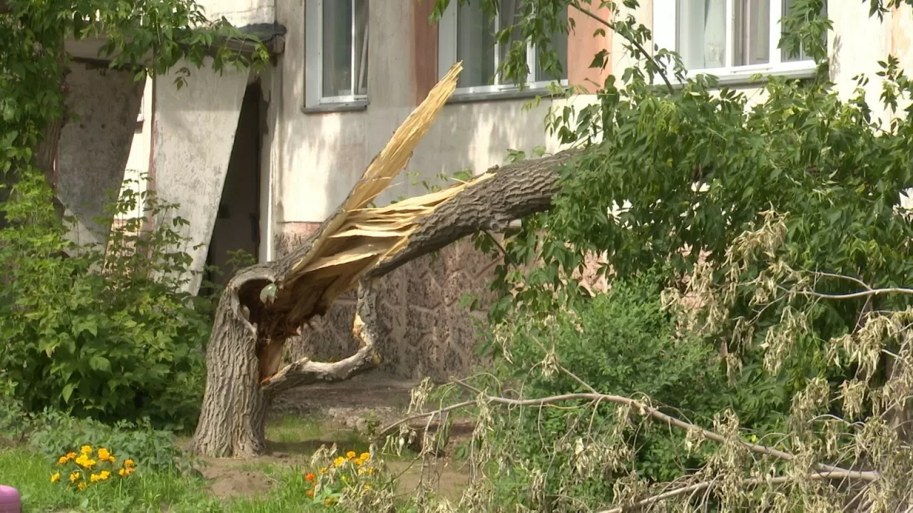 Павлодар облысында дүлей дауыл салдарынан тағы бір адам қайтыс болды
