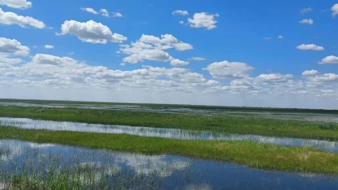 Лиманы наполнили водой в Павлодарской области 