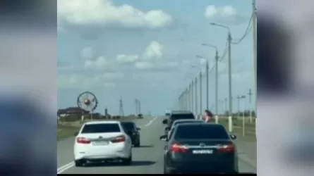 Автокортеж в РК устроил хаос на трассе – 15 протоколов 