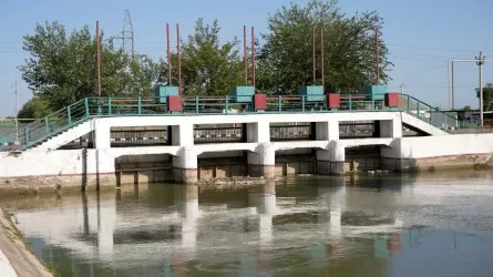 Подачу воды по каналу "Достык" восстановили для полива полей 
