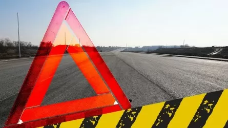 Жамбыл облысында жүргізуші өз көлігінің астына түсіп, мерт болды  